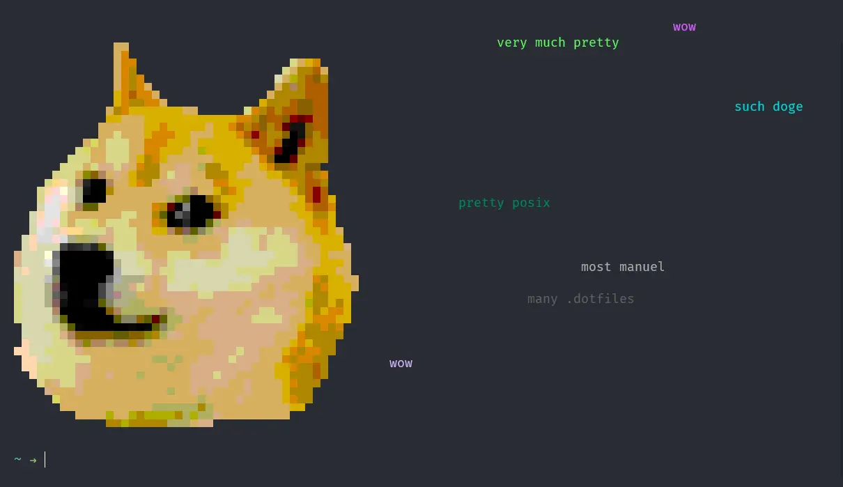 Doge