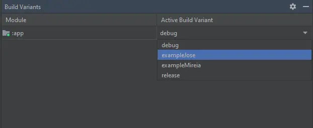 Imagen elegir un buildType